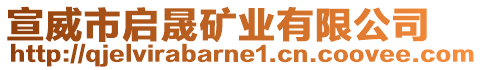 宣威市啟晟礦業(yè)有限公司