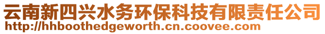 云南新四興水務(wù)環(huán)保科技有限責(zé)任公司