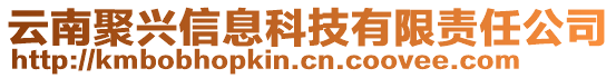 云南聚興信息科技有限責(zé)任公司