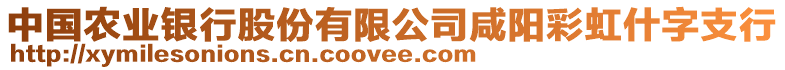 中國農(nóng)業(yè)銀行股份有限公司咸陽彩虹什字支行