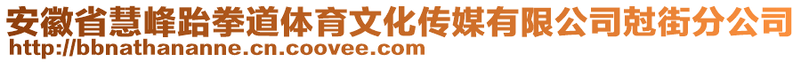 安徽省慧峰跆拳道體育文化傳媒有限公司尅街分公司