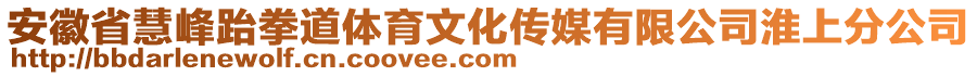 安徽省慧峰跆拳道體育文化傳媒有限公司淮上分公司