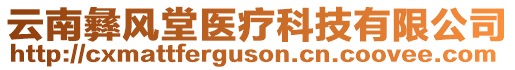 云南彝風(fēng)堂醫(yī)療科技有限公司