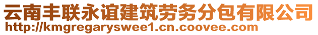 云南豐聯(lián)永誼建筑勞務分包有限公司