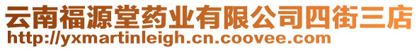 云南福源堂药业有限公司四街三店