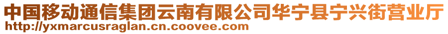 中國移動通信集團云南有限公司華寧縣寧興街營業(yè)廳