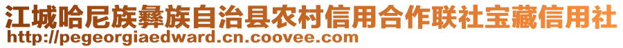 江城哈尼族彝族自治縣農(nóng)村信用合作聯(lián)社寶藏信用社