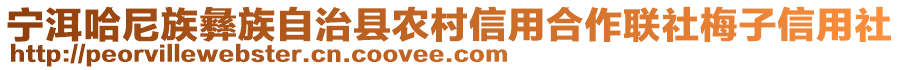 宁洱哈尼族彝族自治县农村信用合作联社梅子信用社