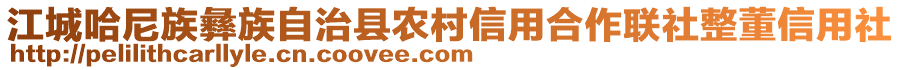 江城哈尼族彝族自治縣農(nóng)村信用合作聯(lián)社整董信用社