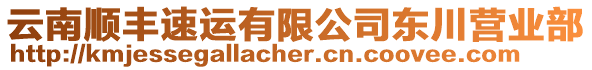 云南順豐速運(yùn)有限公司東川營業(yè)部