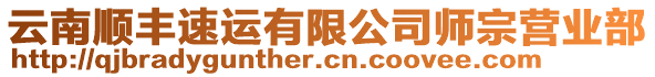 云南順豐速運(yùn)有限公司師宗營(yíng)業(yè)部