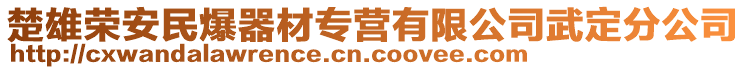 楚雄榮安民爆器材專營有限公司武定分公司