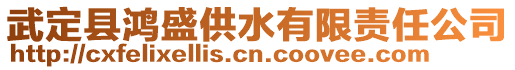 武定縣鴻盛供水有限責任公司