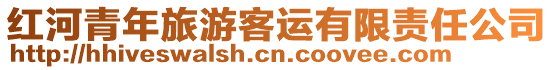 紅河青年旅游客運有限責任公司