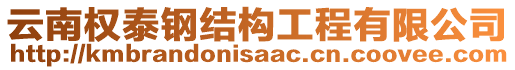 云南權(quán)泰鋼結(jié)構(gòu)工程有限公司