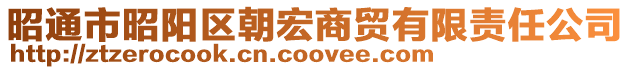 昭通市昭陽區(qū)朝宏商貿有限責任公司