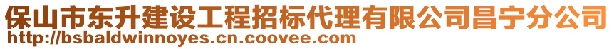 保山市東升建設(shè)工程招標(biāo)代理有限公司昌寧分公司