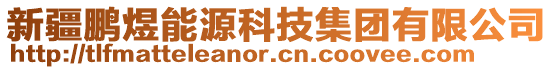 新疆鵬煜能源科技集團有限公司