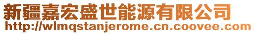 新疆嘉宏盛世能源有限公司