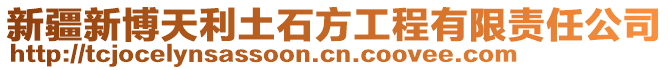 新疆新博天利土石方工程有限責(zé)任公司