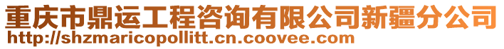 重慶市鼎運(yùn)工程咨詢有限公司新疆分公司