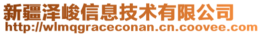 新疆澤峻信息技術(shù)有限公司