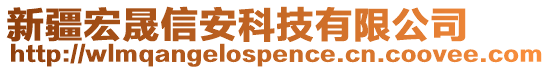 新疆宏晟信安科技有限公司