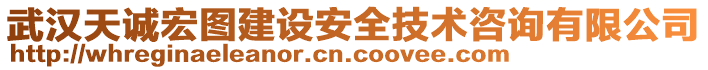 武漢天誠(chéng)宏圖建設(shè)安全技術(shù)咨詢有限公司