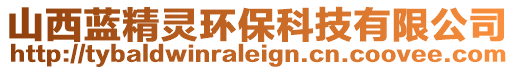 山西藍(lán)精靈環(huán)保科技有限公司