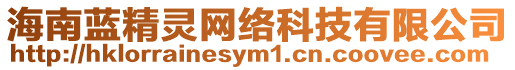 海南藍(lán)精靈網(wǎng)絡(luò)科技有限公司