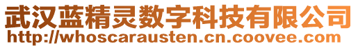 武漢藍精靈數(shù)字科技有限公司