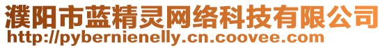 濮陽(yáng)市藍(lán)精靈網(wǎng)絡(luò)科技有限公司