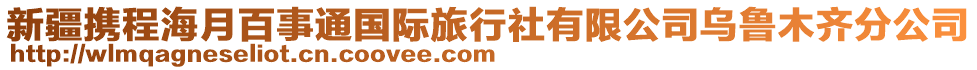 新疆携程海月百事通国际旅行社有限公司乌鲁木齐分公司