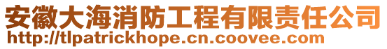 安徽大海消防工程有限責任公司