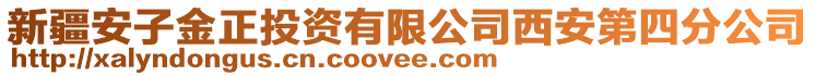 新疆安子金正投資有限公司西安第四分公司