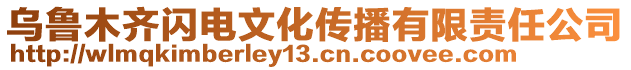 烏魯木齊閃電文化傳播有限責(zé)任公司