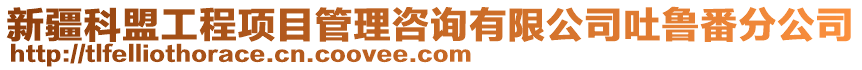 新疆科盟工程項目管理咨詢有限公司吐魯番分公司