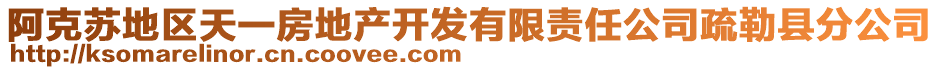 阿克蘇地區(qū)天一房地產(chǎn)開發(fā)有限責(zé)任公司疏勒縣分公司