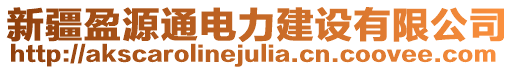 新疆盈源通電力建設(shè)有限公司