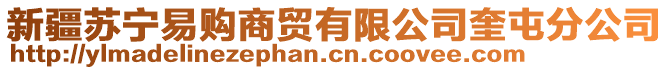 新疆蘇寧易購(gòu)商貿(mào)有限公司奎屯分公司