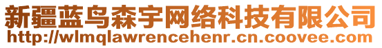 新疆藍(lán)鳥森宇網(wǎng)絡(luò)科技有限公司