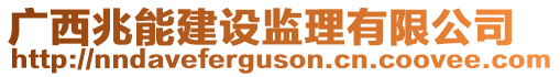 廣西兆能建設(shè)監(jiān)理有限公司