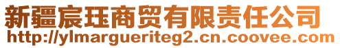 新疆宸玨商貿(mào)有限責(zé)任公司