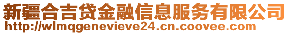 新疆合吉貸金融信息服務(wù)有限公司