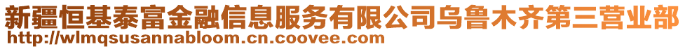 新疆恒基泰富金融信息服務有限公司烏魯木齊第三營業(yè)部