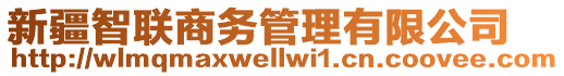 新疆智聯(lián)商務(wù)管理有限公司