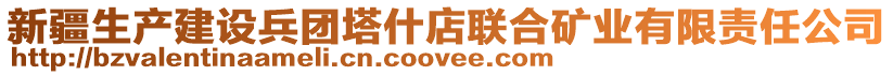 新疆生產(chǎn)建設(shè)兵團(tuán)塔什店聯(lián)合礦業(yè)有限責(zé)任公司