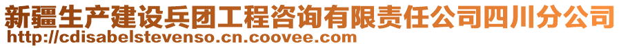 新疆生產(chǎn)建設(shè)兵團(tuán)工程咨詢有限責(zé)任公司四川分公司