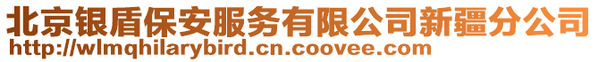 北京銀盾保安服務有限公司新疆分公司