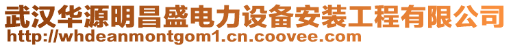 武漢華源明昌盛電力設備安裝工程有限公司